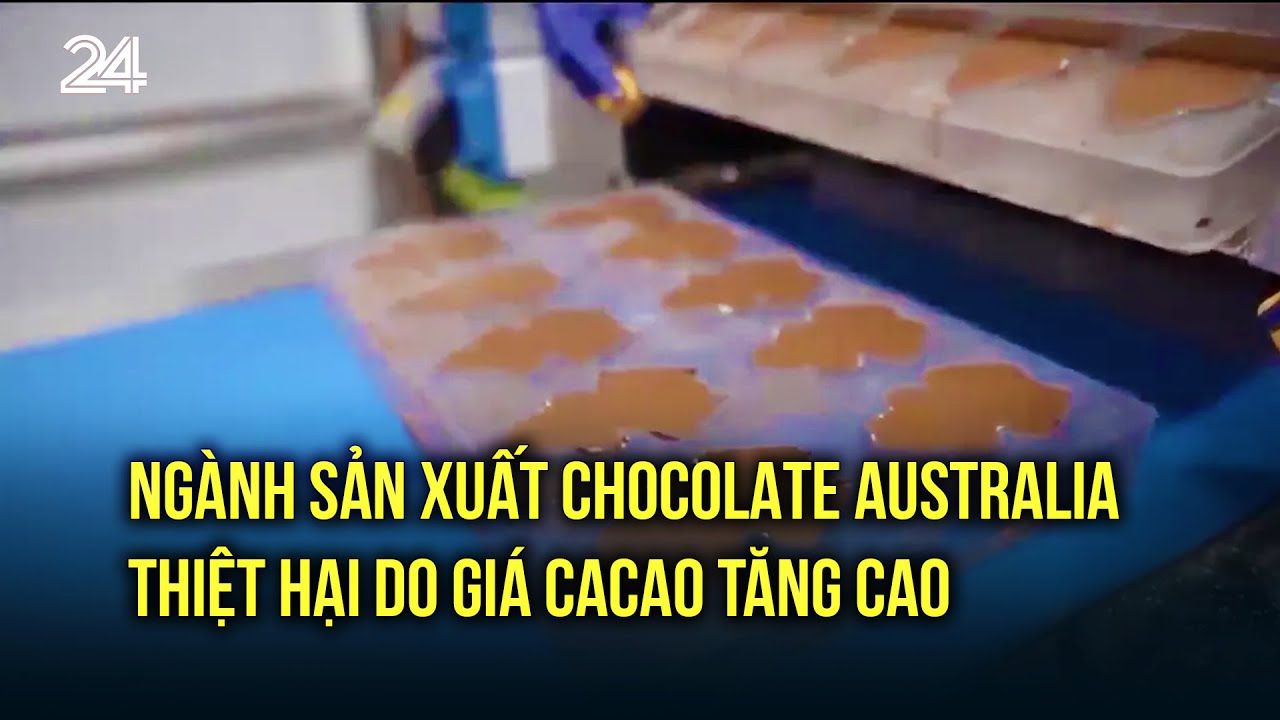 Ngành sản xuất chocolate Australia thiệt hại do giá cacao tăng cao | VTV24