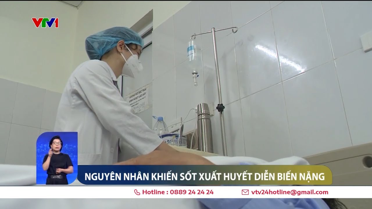 Nguyên nhân khiến sốt xuất huyết diễn biến nặng | VTV24