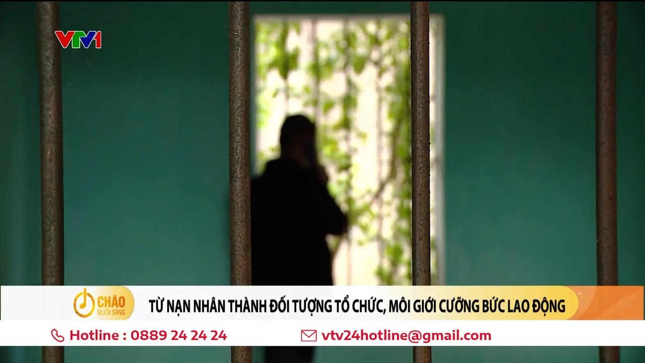 "Nếu không tuyển được người nào, em sẽ bán mạng bên ấy" | VTV24