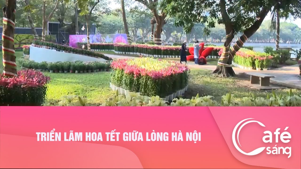 Triển lãm hoa tết giữa lòng Hà Nội I Cafe sáng với VTV3