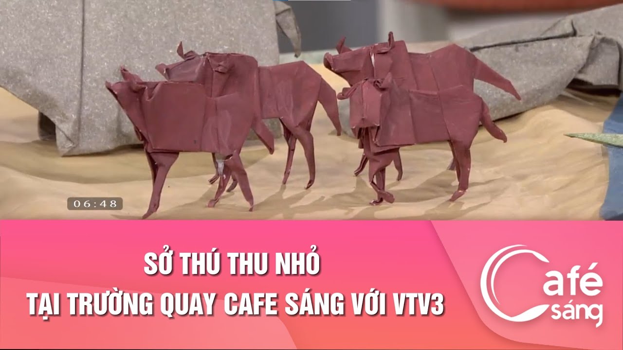 Sở thú thu nhỏ tại trường quay Cafe sáng với VTV3 I Cafe sáng với VTV3