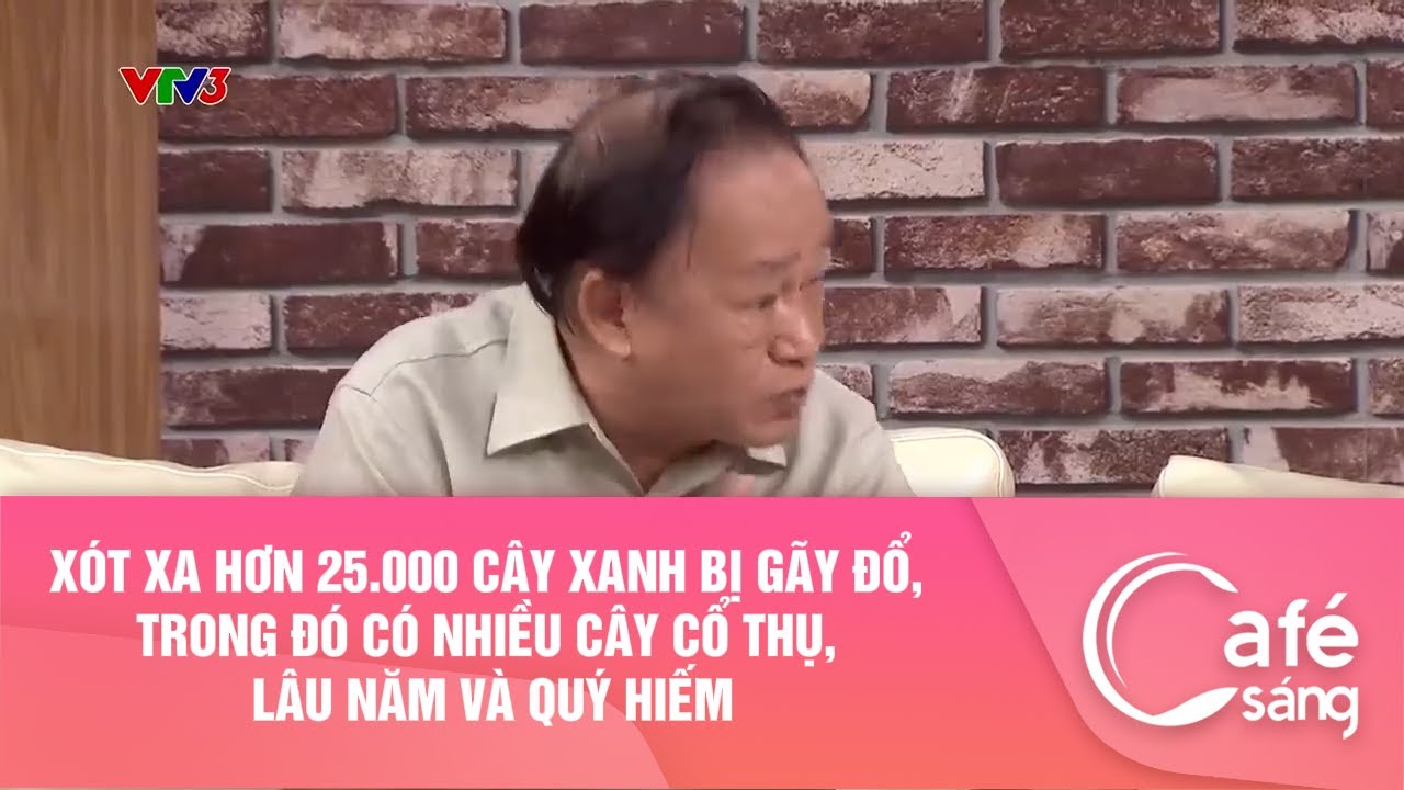 Xót xa hơn 25.000 cây xanh bị gãy đổ, trong đó có nhiều cây cổ thụ, lâu năm và quý hiếm