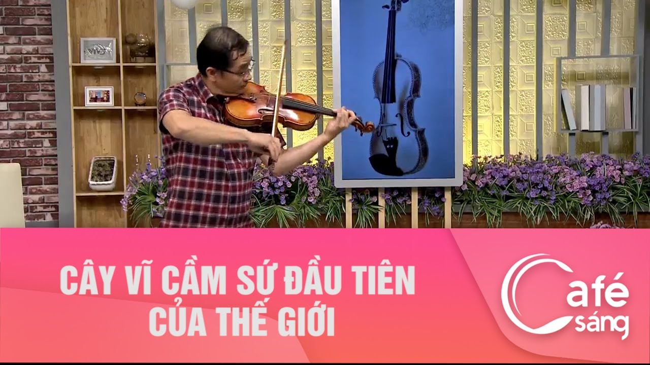 CÂY VĨ CẦM SỨ ĐẦU TIÊN CỦA THẾ GIỚI