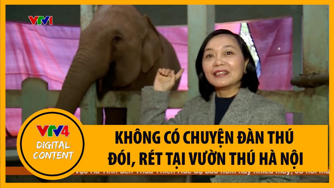 Không có chuyện đàn thú đói, rét tại vườn thú Hà Nội | VTV4