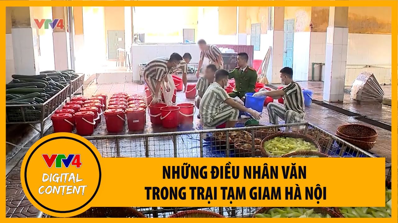 Những điều nhân văn trong trại tạm giam Hà Nội | VTV4