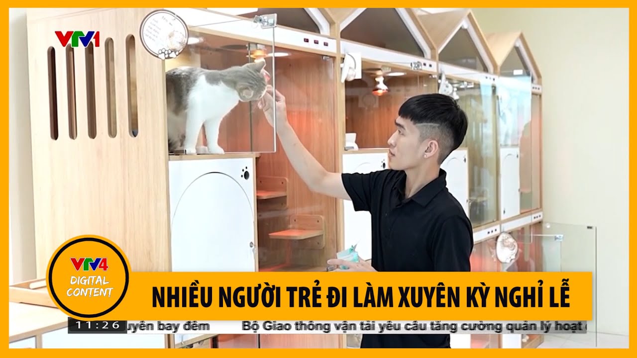 Nhiều người trẻ đi làm xuyên kỳ nghỉ lễ | VTV4