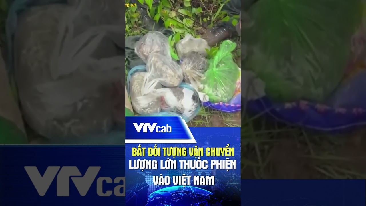 Đối tượng vận chuyển lượng lớn thuốc phiện vào Việt Nam