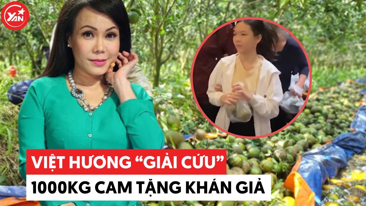 Việt Hương "giải cứu" 1000kg cam tặng cho khán giả