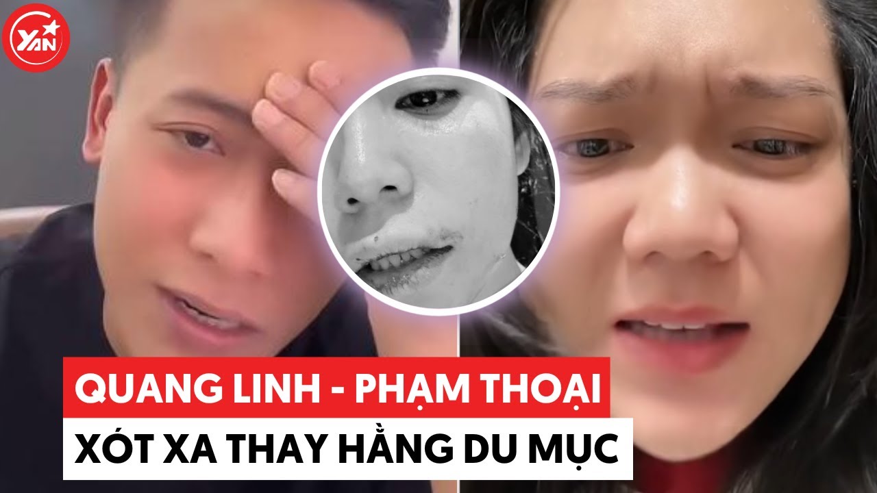 Quang Linh Vlogs, Phạm Thoại và loạt celeb bàng hoàng khi hay tin Hằng Du Mục bị tương tác