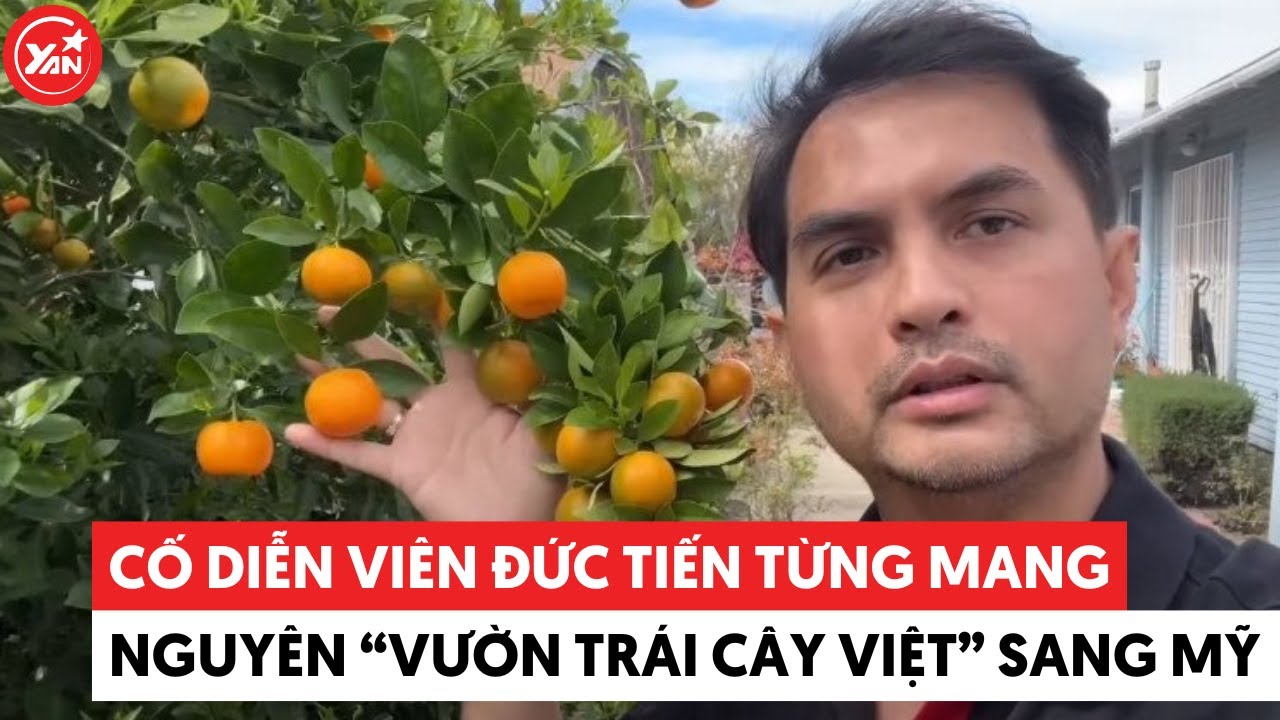 Cố diễn viên Đức Tiến từng mang nguyên "vườn trái cây Việt" sang Mỹ