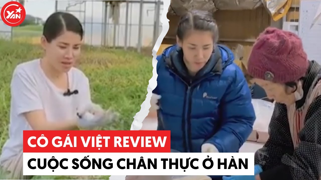 Cô gái Việt review chân thực cuộc sống làm văn phòng tại Hàn mỗi ngày chỉ ngủ 4 tiếng