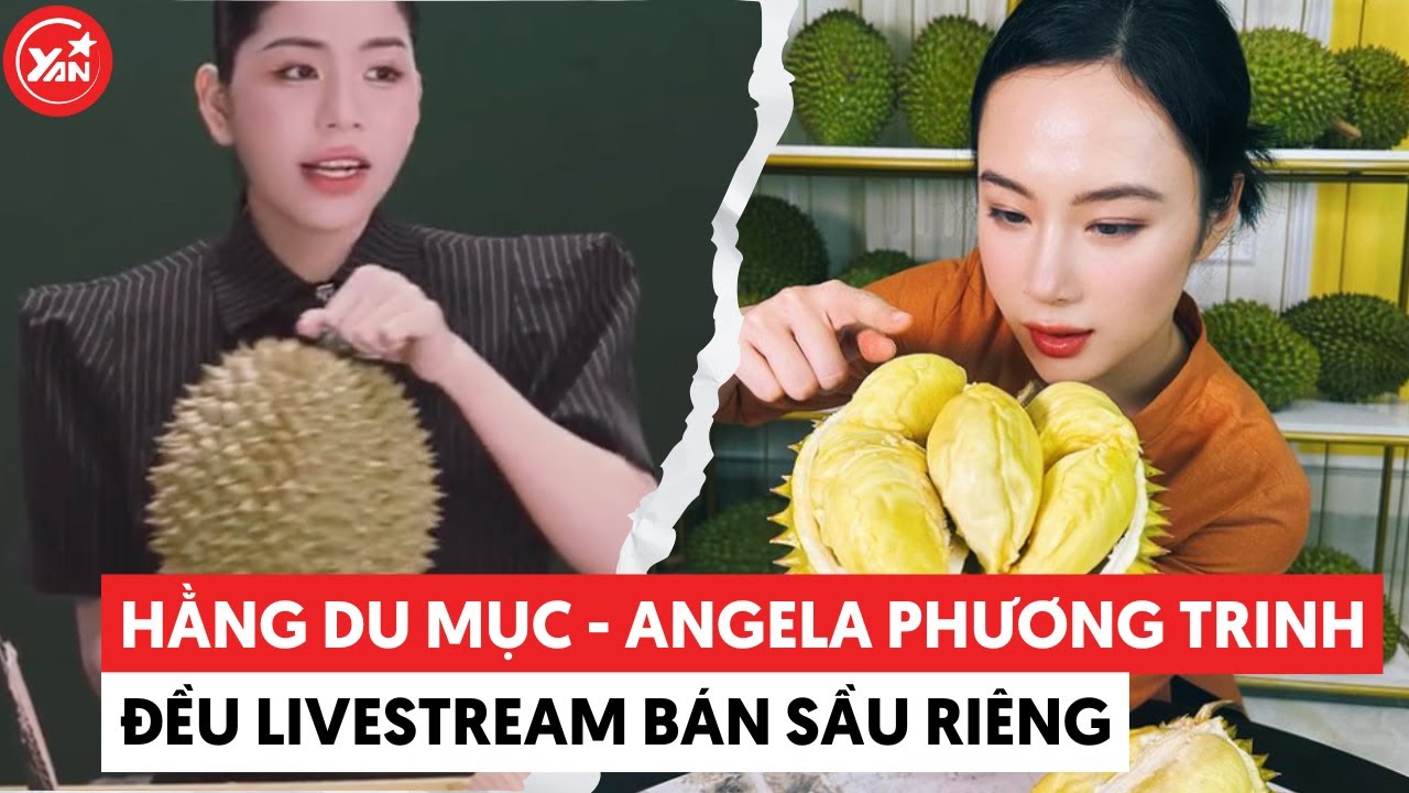 Hằng Du Mục và Angela Phương Trinh đều livestream bán sầu riêng và cái kết