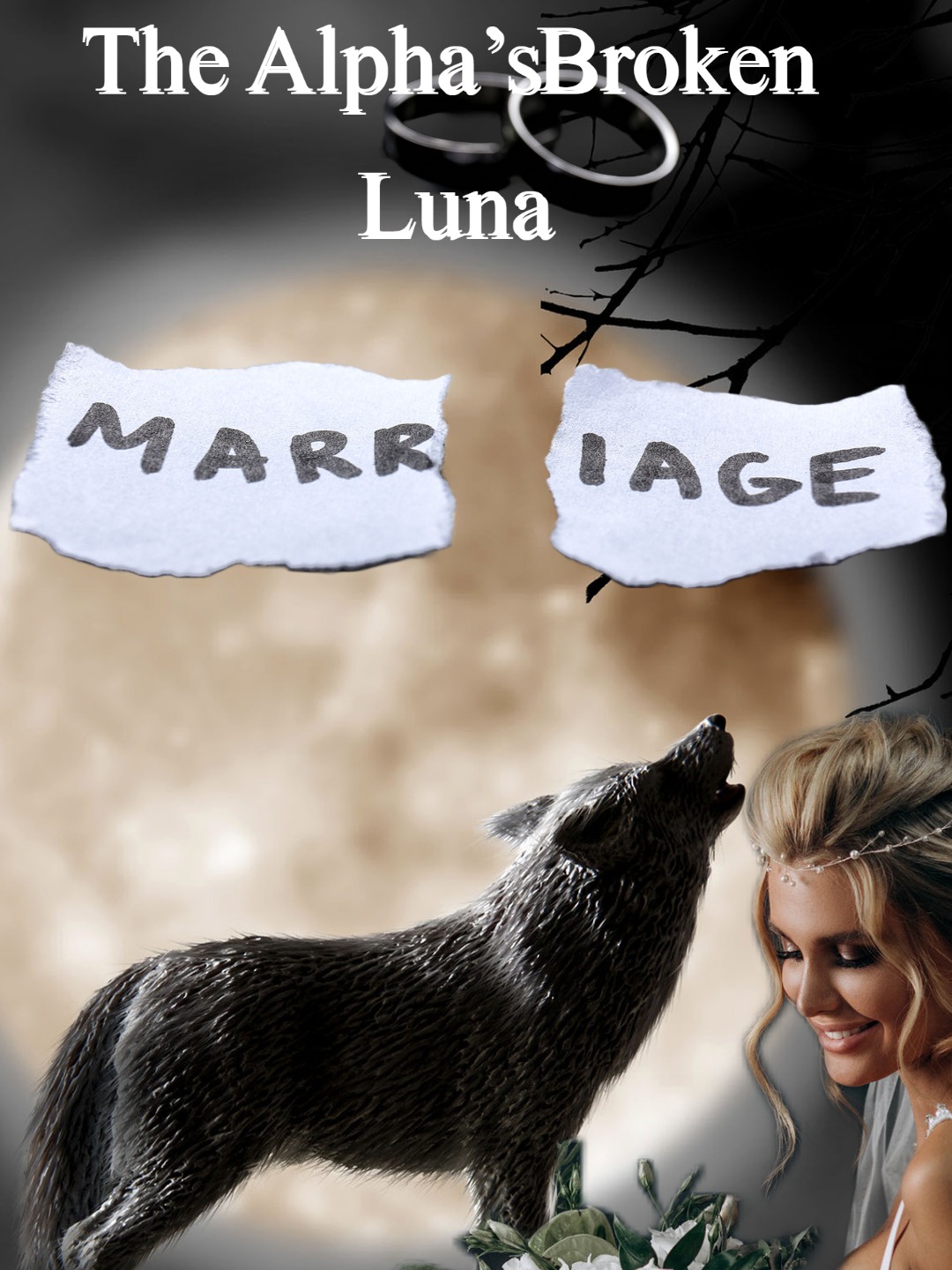 The Alpha's Broken Luna