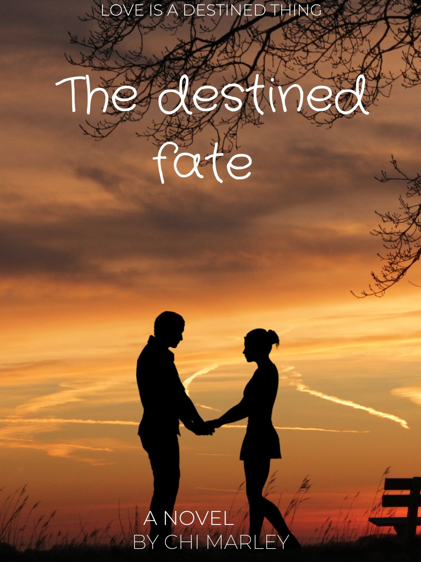 The Destined fate
