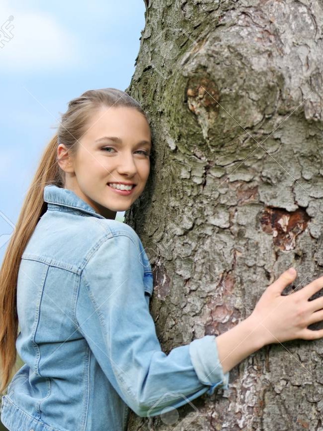 The tales of Tree