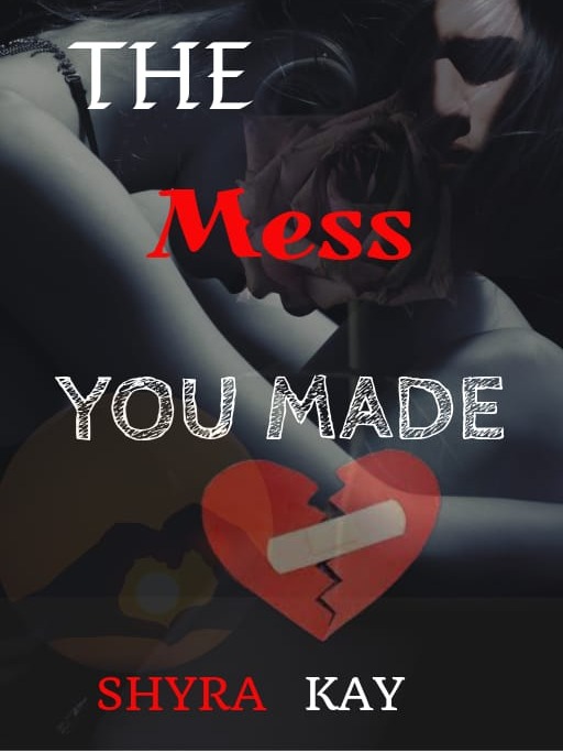 THE MESS YOU MADE