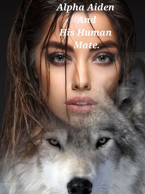Alpha Aiden And His Human Mate