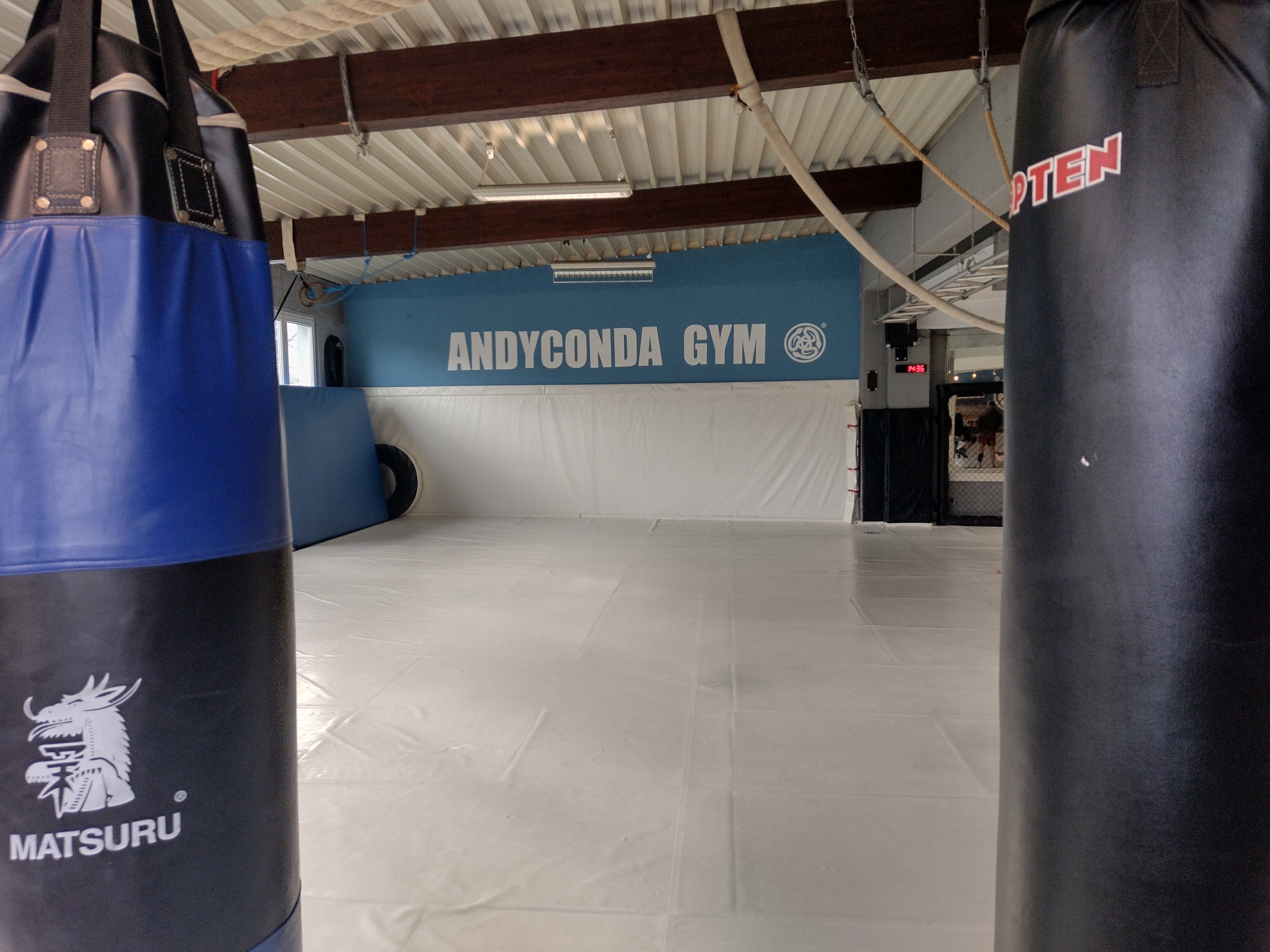 Bild aus Bjj Gym