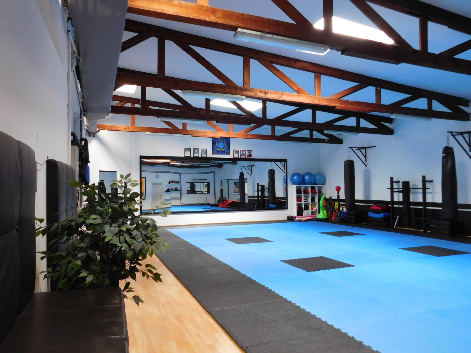 Bild aus Bjj Gym