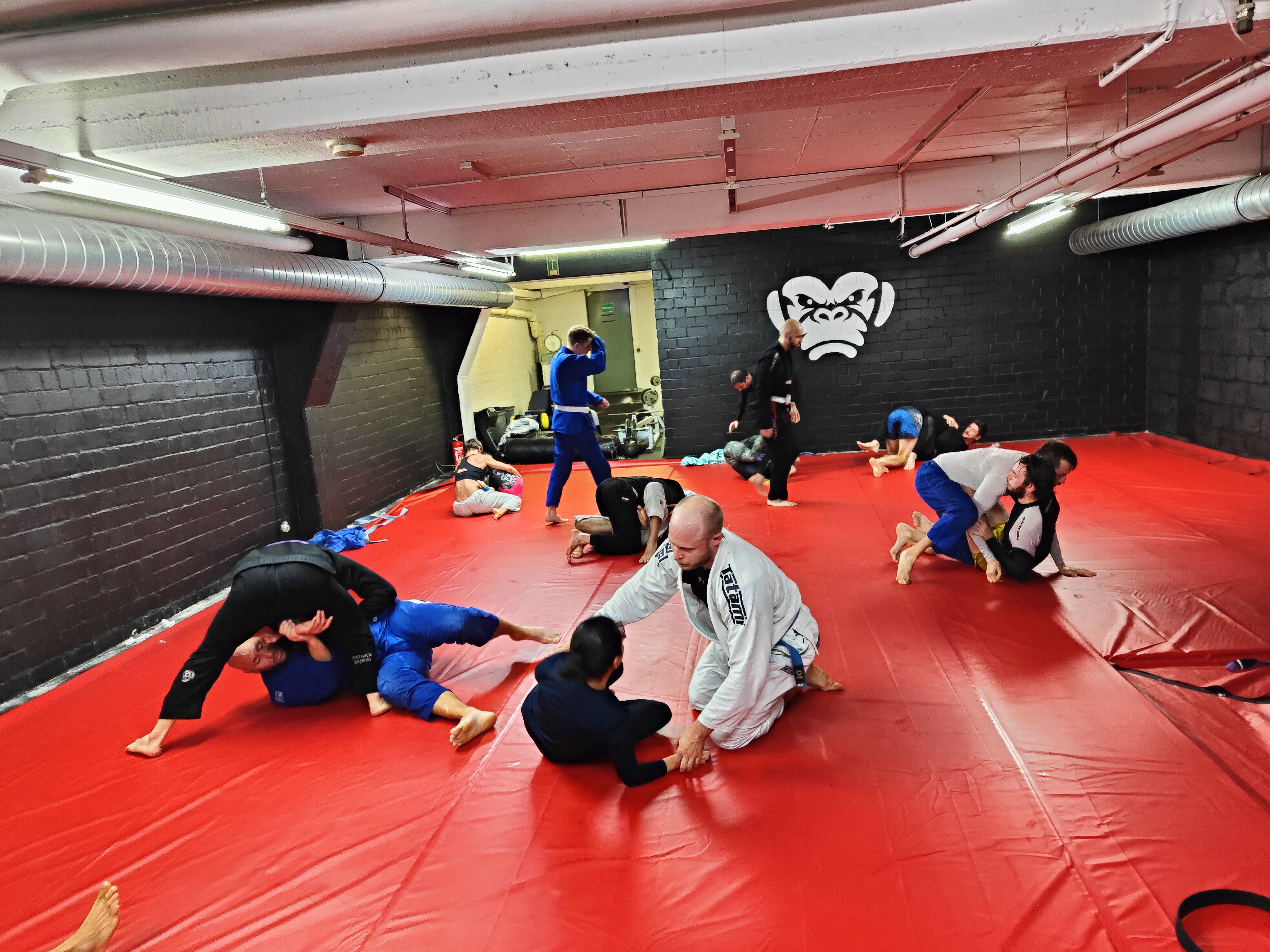 Bild aus Bjj Gym