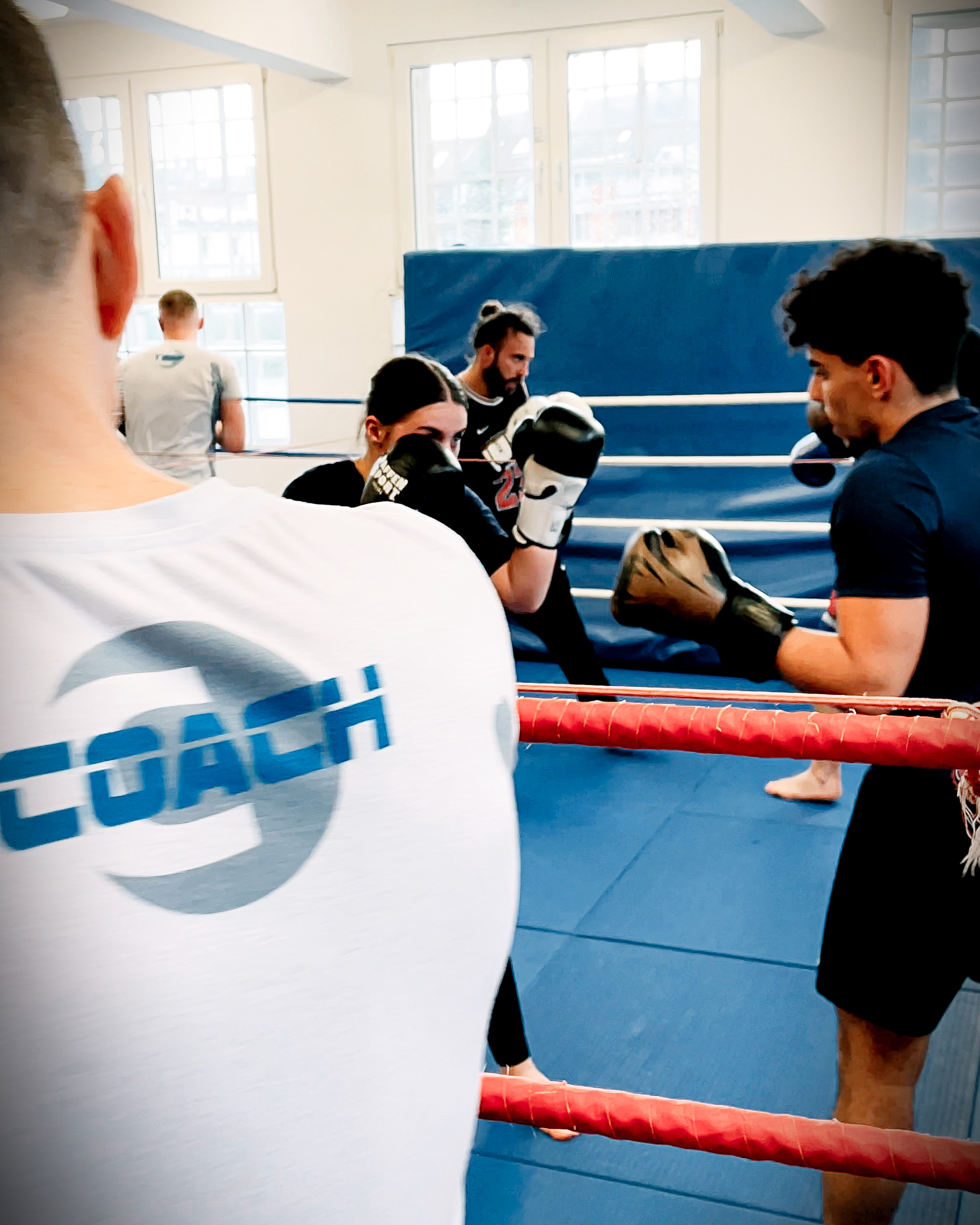 Bild aus Bjj Gym