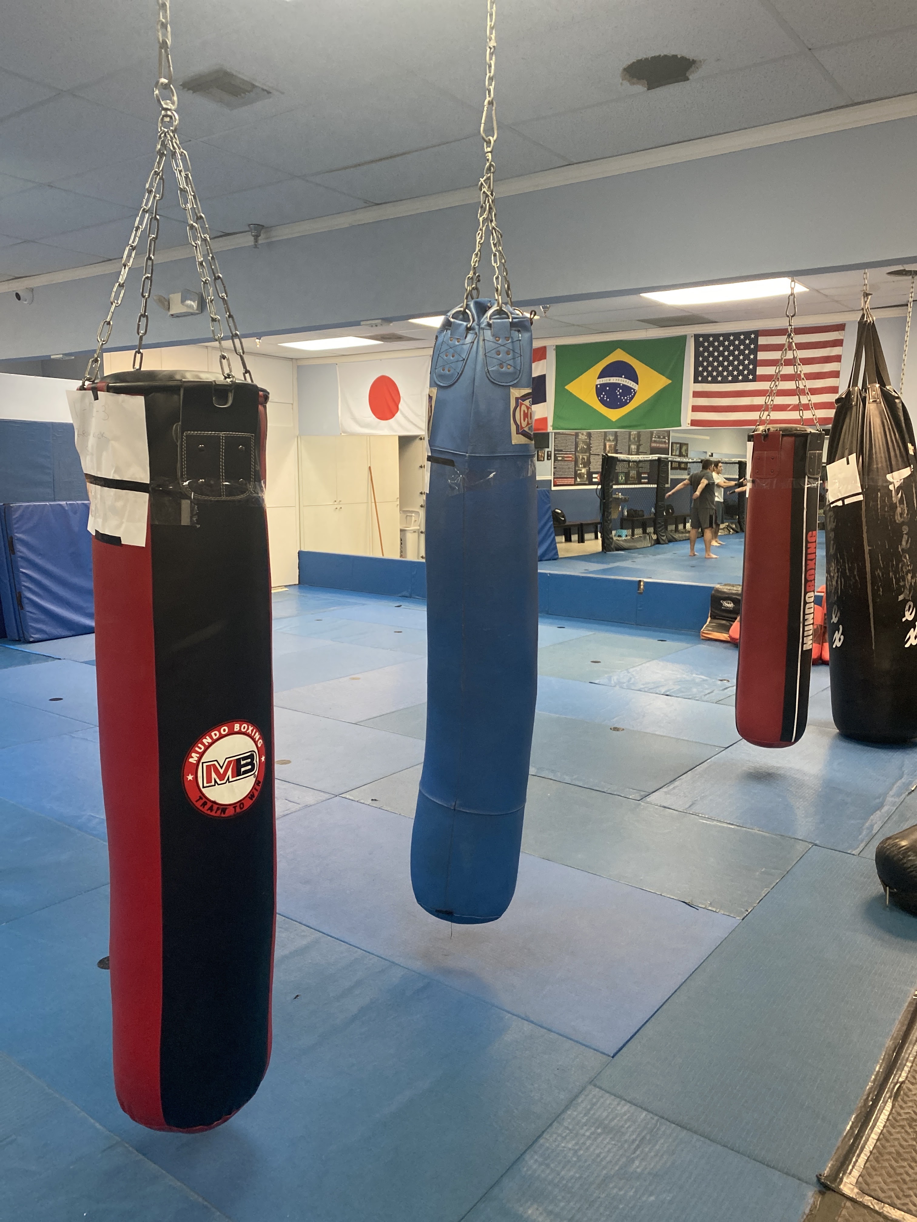 Bild aus Bjj Gym