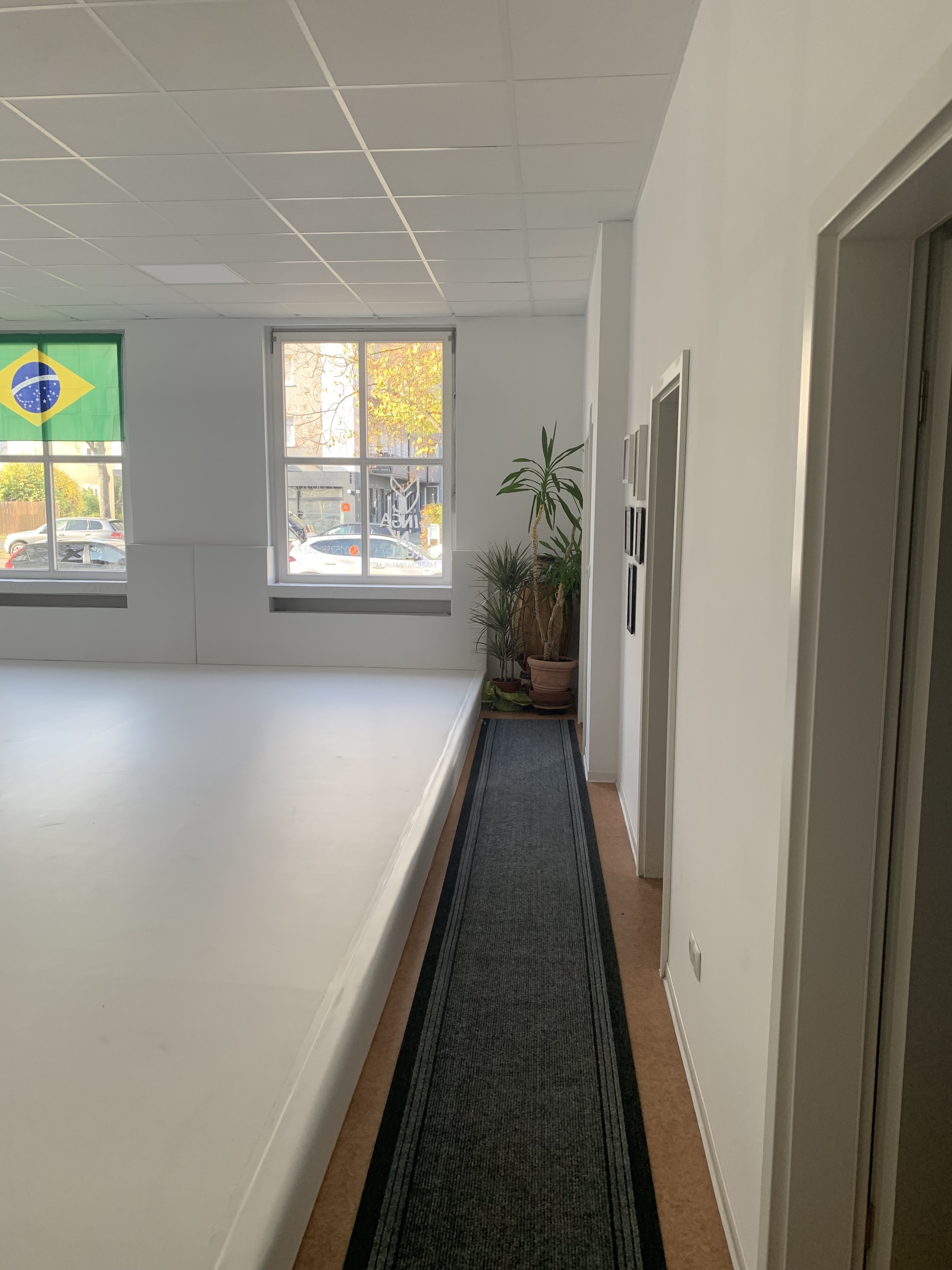 Bild aus Bjj Gym