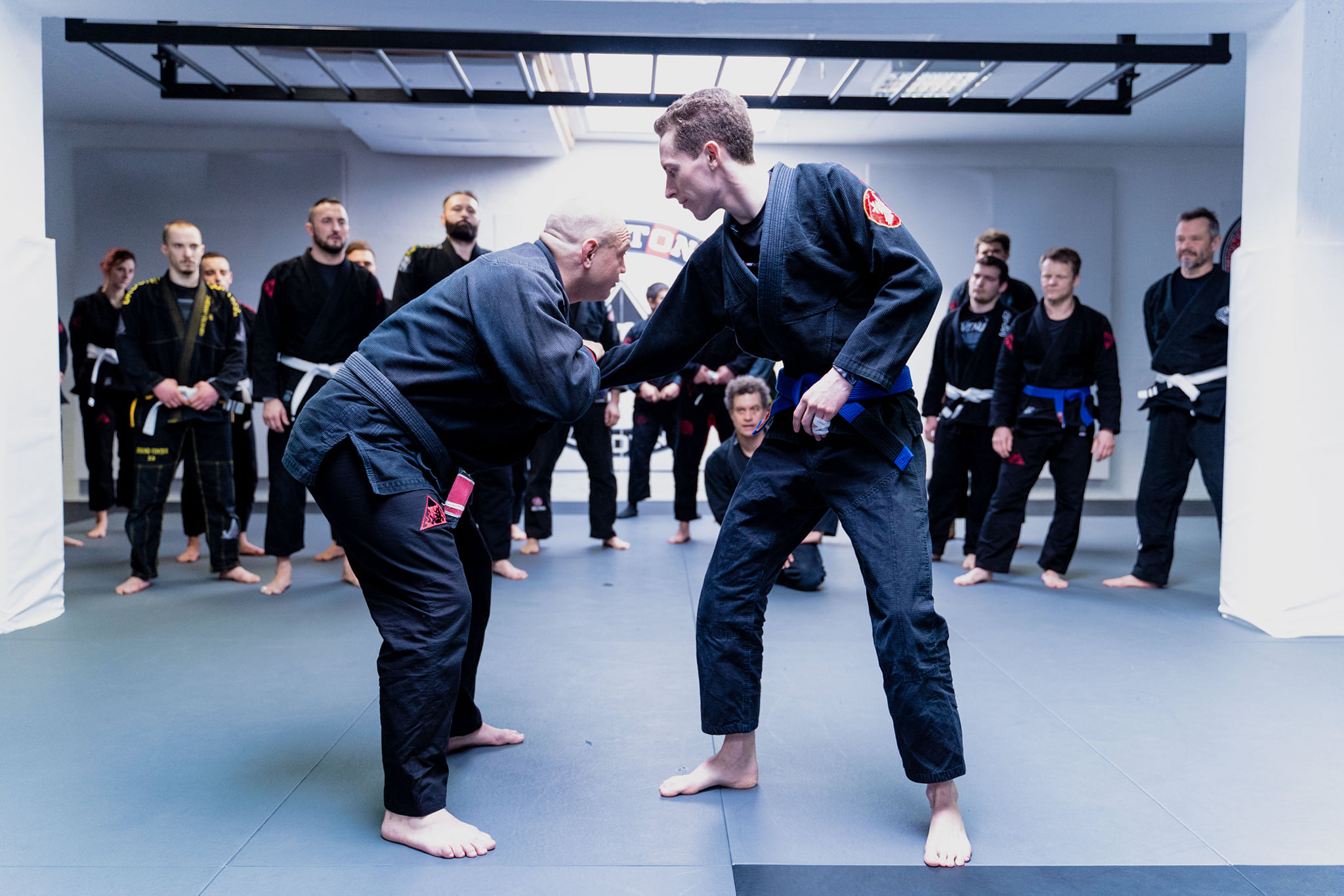 Bild aus Bjj Gym