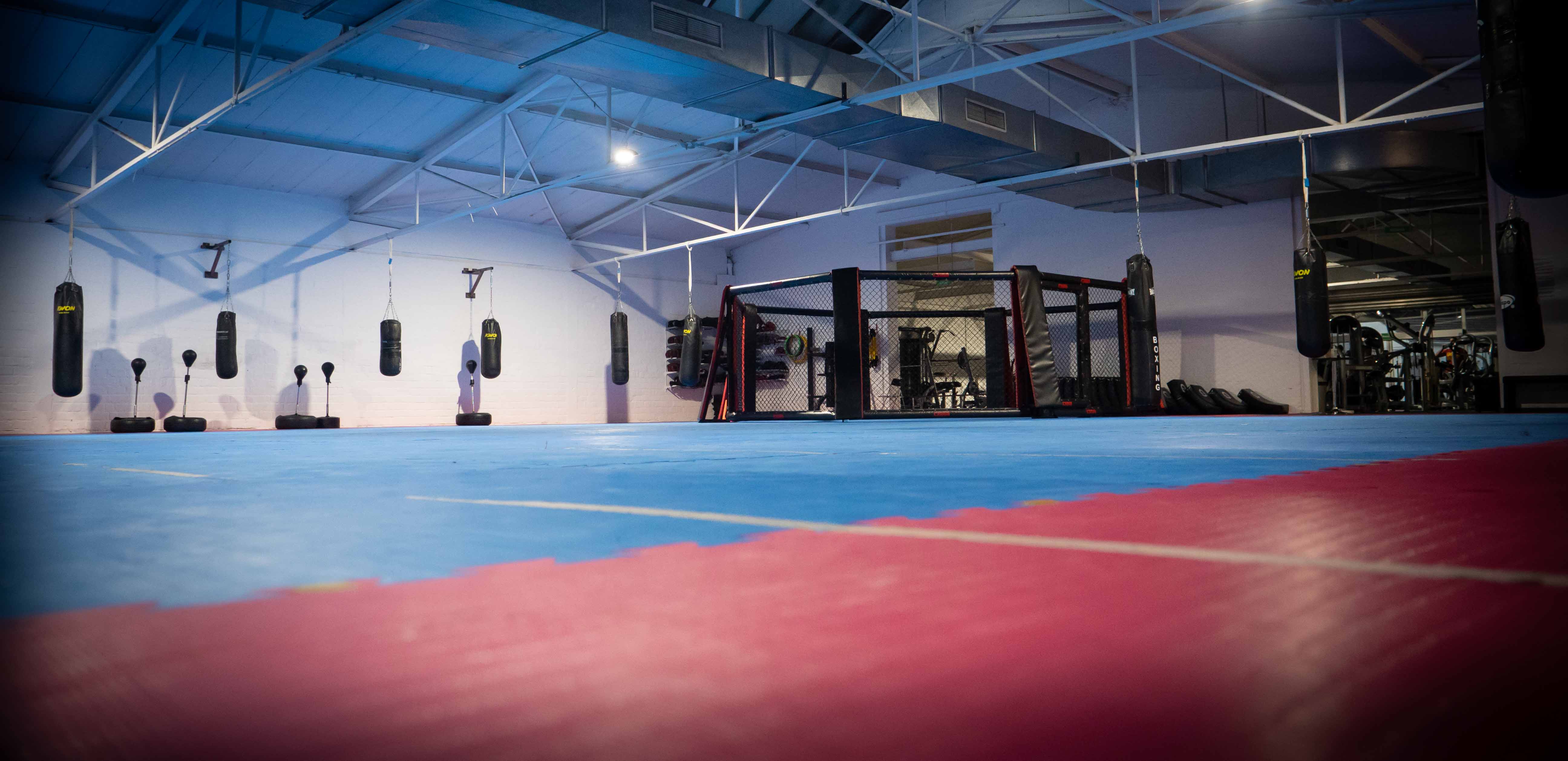 Bild aus Bjj Gym
