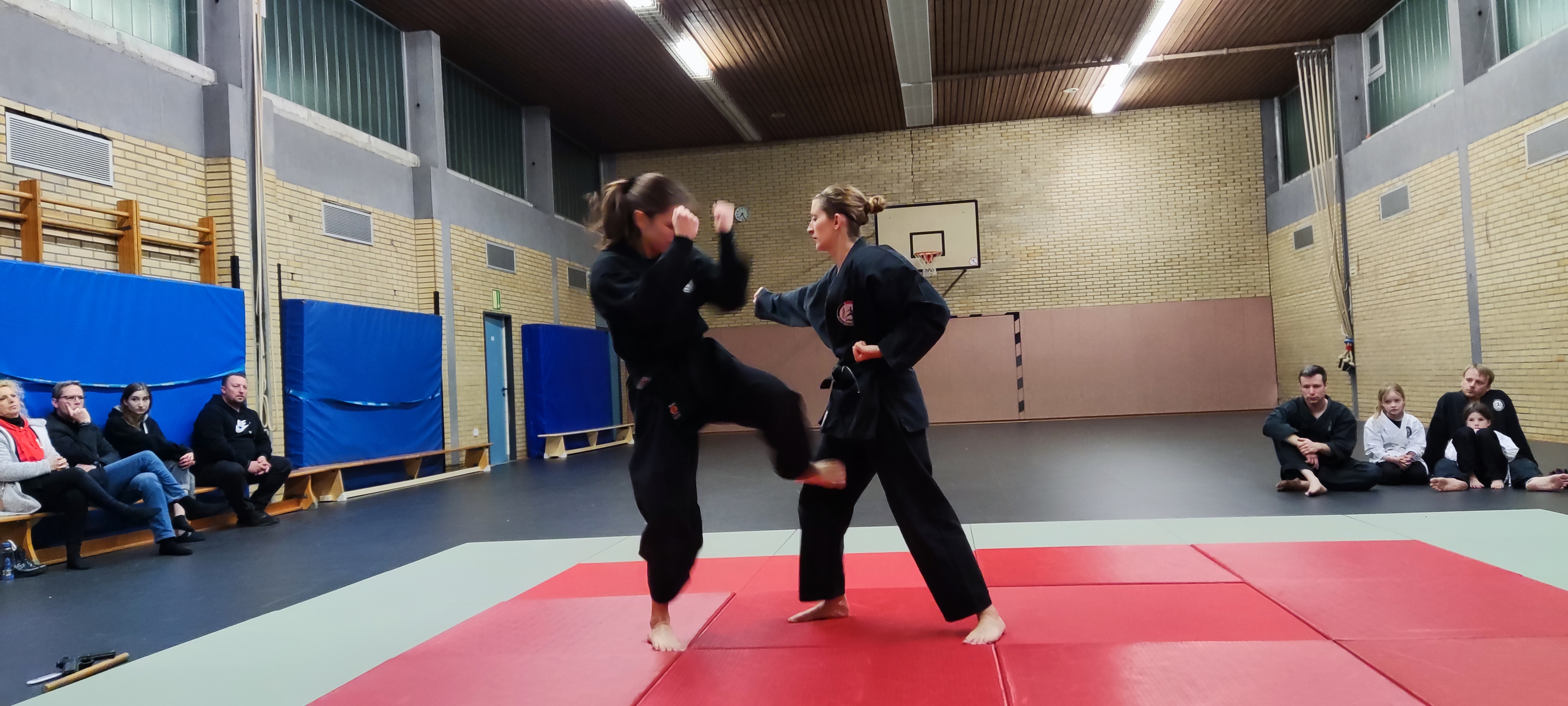 Bild aus Bjj Gym