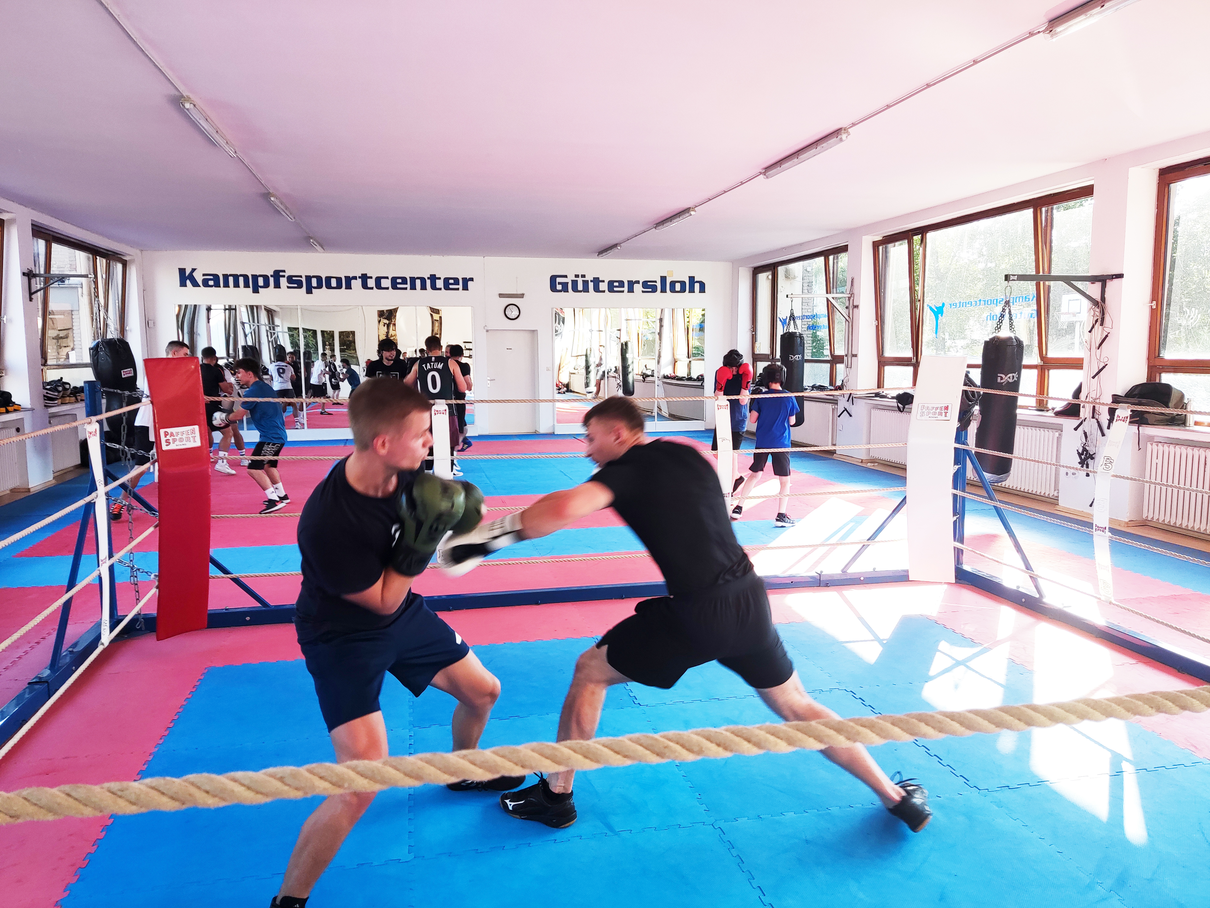 Bild aus Bjj Gym