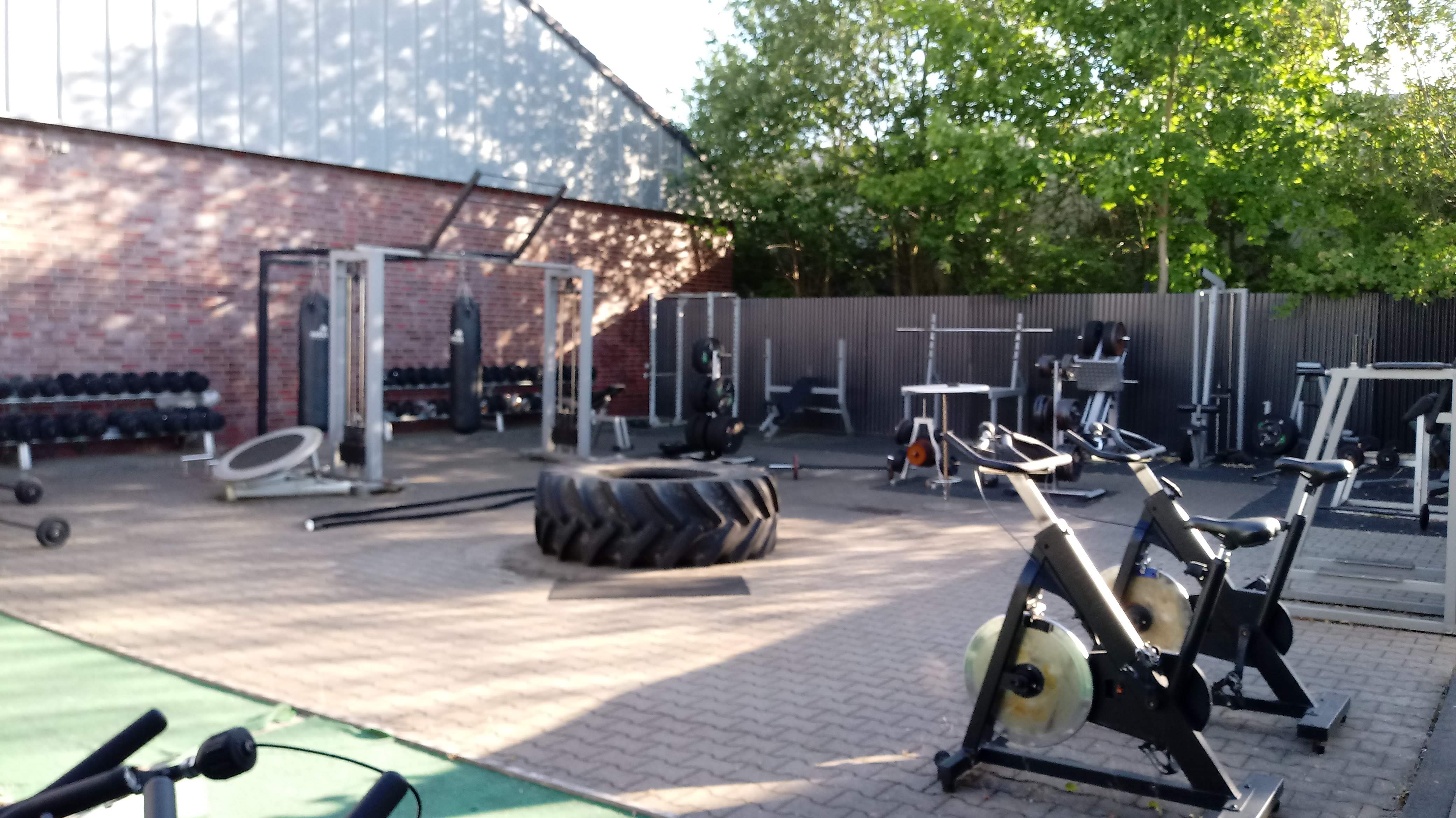 Bild aus Bjj Gym