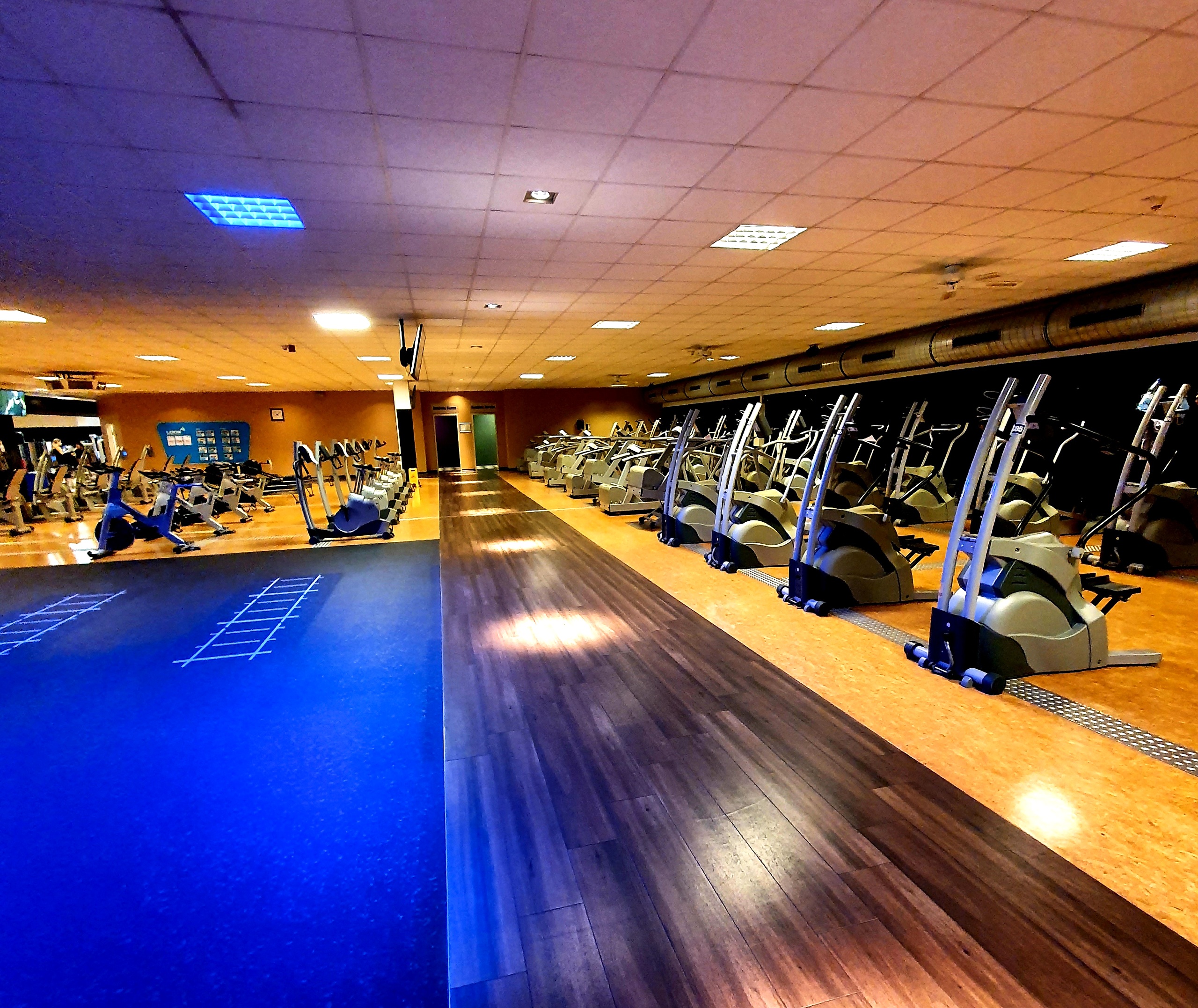 Bild aus Bjj Gym