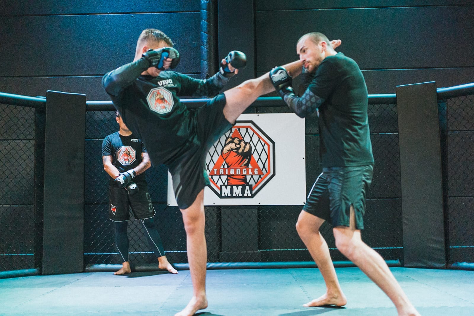 Bild aus Bjj Gym