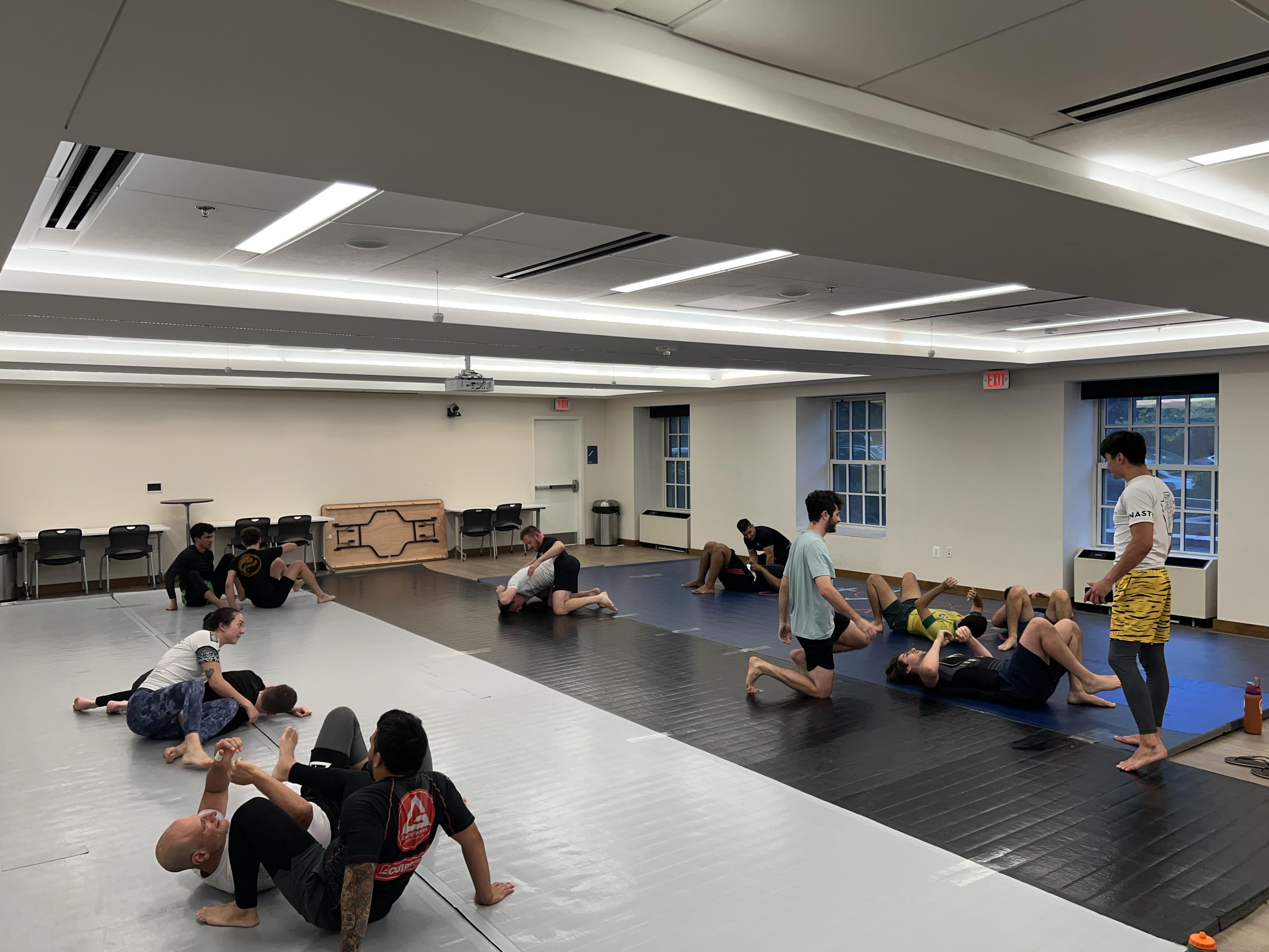 Bild aus Bjj Gym
