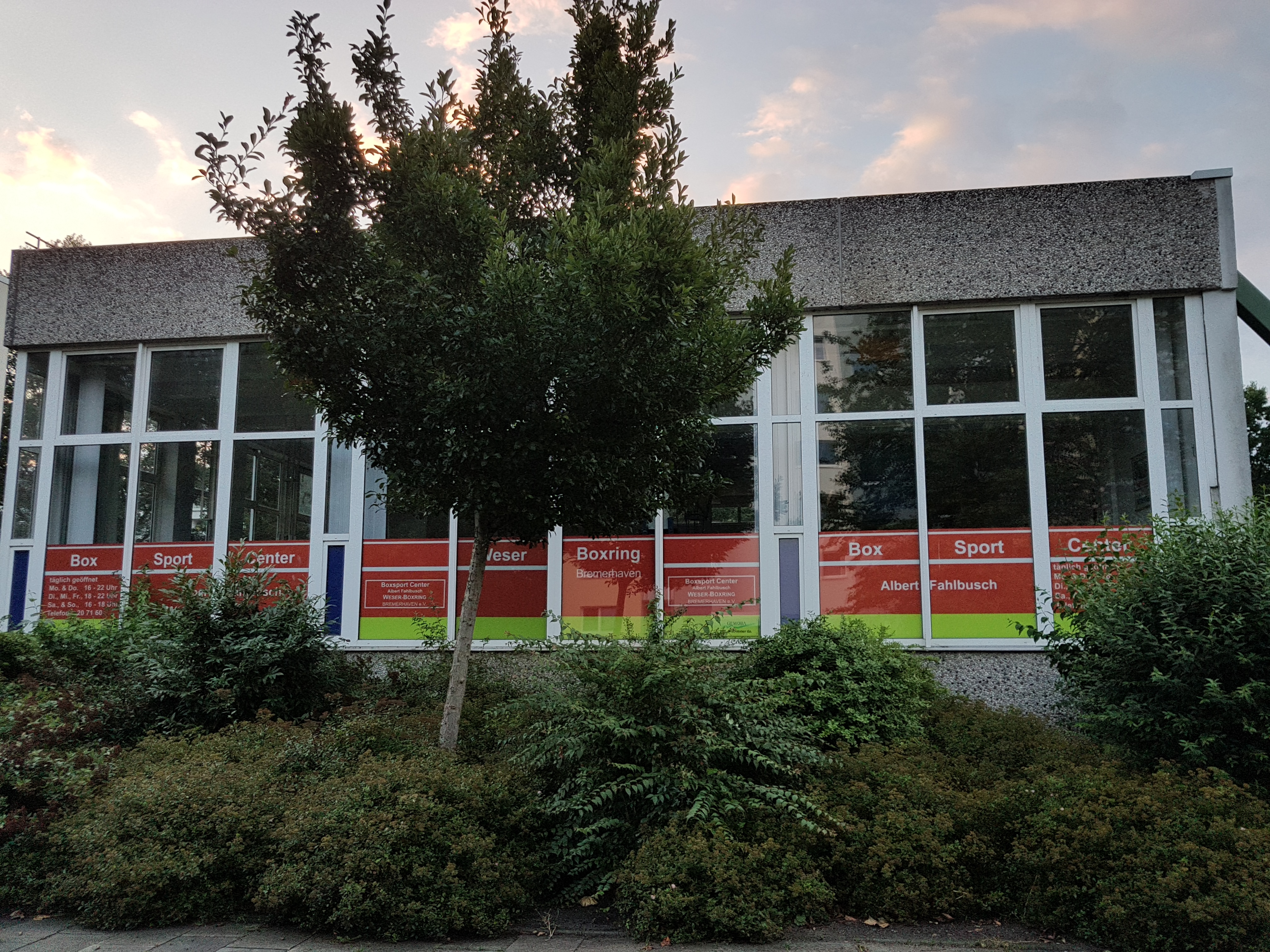 Bild aus Bjj Gym