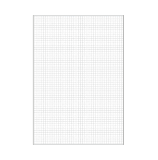 B7513 - Bristol blanc quadrillé 5x5 - 75 x 125 - 100 fiches