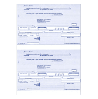 519 - Ramette A4 traites normalisées prédécoupées - 100 feuilles (2 par feuille)