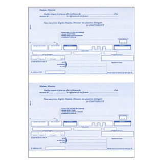 5195 - Ramette A4 traites normalisées prédécoupées - 250 feuilles (2 par feuille)