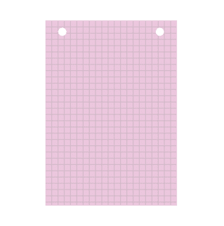 BLP10513R - Bristol rose quadrillé 5x5 perforé - A6 - 20 fiches