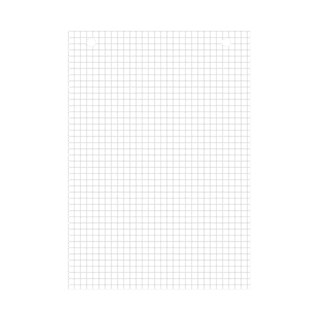 BLP14813 - Bristol blanc quadrillé 5x5 perforé - A5 - 20 fiches