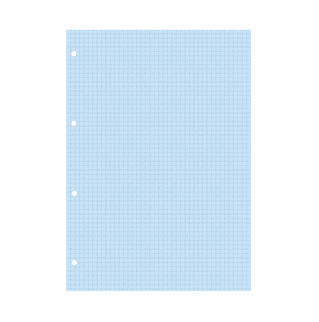 BLP29713B - Bristol bleu quadrillé 5x5 perforé - A4 - 20 fiches