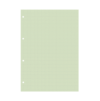 BLP29713V - Bristol vert quadrillé 5x5 perforé - A4 - 20 fiches