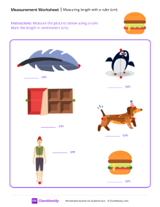 worksheet-Measuring-length-with-a-ruler-(cm)---Burger