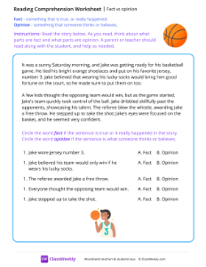 worksheet-Fact-vs-opinion---Basketball