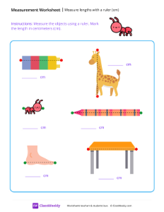 worksheet-Measure-lengths-with-a-ruler-(cm)---ant