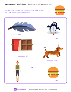 Measuring length with a ruler (cm) - Burger-worksheet