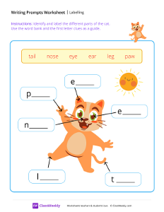 Labelling - Cat-worksheet