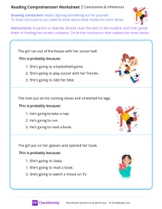 worksheet-Conclusions-&-inferences---Stretch