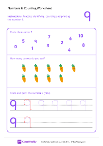 Counting and Tracing Numbers: 9-worksheet